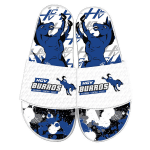 PR008_BURROS