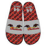 PR008_DOUBLEHAWKS