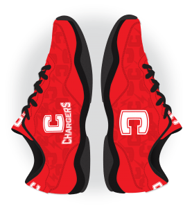 PR010_CHARGERS